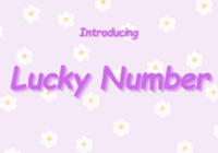 Lucky Number Font - Featured Image