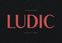 Ludic Font - Featured Image
