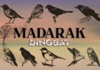 Madarak Font - Featured Image
