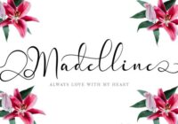 Madelline Font - Featured Image