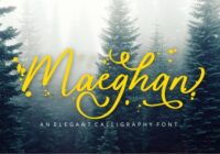 Maeghan Font - Featured Image