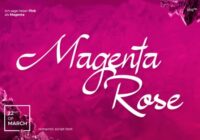 Magenta Rose Font - Featured Image