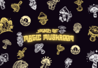 Magic Mushroom Font - Featured Image
