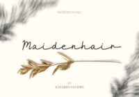 Maidenhair Font - Featured Image