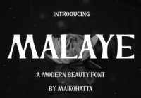Malaye Font - Featured Image