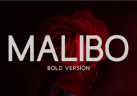 Malibo Bold Font - Featured Image