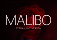 Malibo Extra Light Font - Featured Image