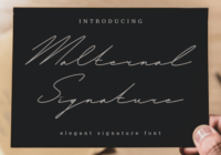 Malternal Signature Font - Featured Image