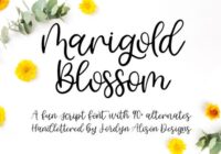 Marigold Blossom Font - Featured Image