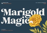 Marigold Magic Font - Featured Image
