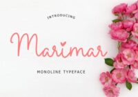Marimar Font - Featured Image