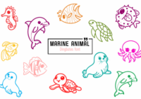 Marine Animal Font - Featured Image