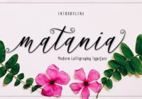 Matania Script Font - Featured Image