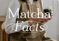 Matcha Facts Font - Featured Image