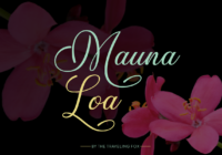 Mauna Loa Font - Featured Image
