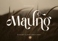 Maung Font - Featured Image