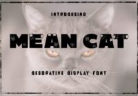 Mean Cat Font - Featured Image