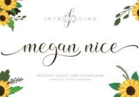 Megan Nice Font - Featured Image