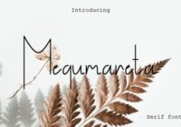 Megumareta Font - Featured Image