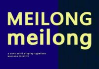 Meilong Font - Featured Image