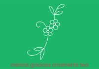 Menina Graciosa Ornaments Font - Featured Image