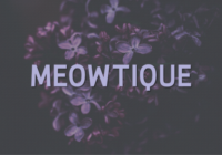 Meowtique Font - Featured Image