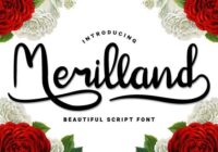 Merilland Font - Featured Image
