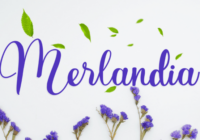 Merlandia Font - Featured Image
