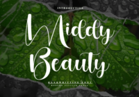 Middy Beauty Font - Featured Image