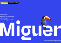 Miguer Font - Featured Image
