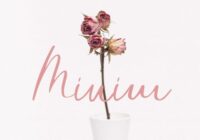 Minim Font - Featured Image