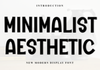 Minimalist Aesthetic Font - Featured Image