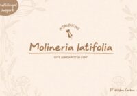 Molineria Latifolia Font - Featured Image
