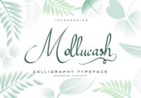Mollucash Font - Featured Image