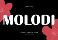 Molodi Font - Featured Image