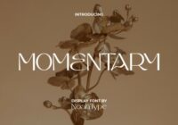 Momentary Font - Featured Image