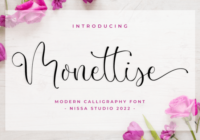 Monettise Font - Featured Image