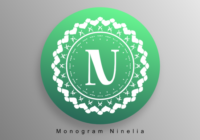 Monogram Ninelia Font - Featured Image