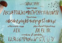 Moonlit Harvest Font - Featured Image