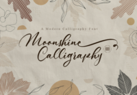 Moonshine Calligraphy Font - Featured Image