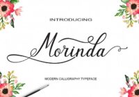 Morinda Font - Featured Image