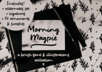 Morning Magpie Font - Featured Image