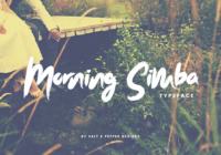 Morning Simba Script Font - Featured Image