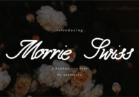 Morrie Swiss Font - Featured Image