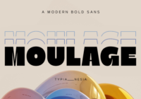 Moulage Font - Featured Image