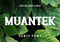 Muantek Font - Featured Image