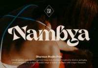 Nambya Font Font - Featured Image