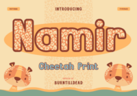 Namir Font - Featured Image