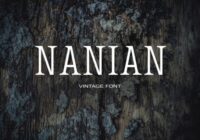 Nanian Font - Featured Image
