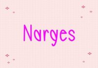 Narges Font - Featured Image
